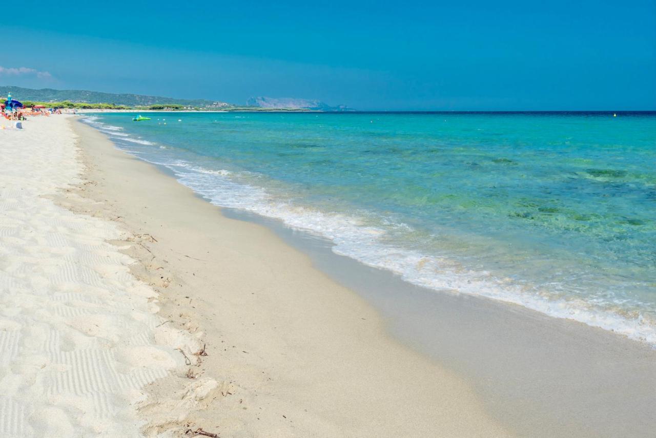 Graziosi Appartamenti A Budoni Con Aria Condizionata A Soli 300 Mt Dal Mare Esterno foto